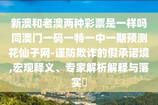 新澳和老澳兩種彩票是一樣嗎同澳門一碼一特一中一期預(yù)測花仙子網(wǎng)-謹防欺詐的假承諾境,宏觀釋義、專家解析解釋與落實?